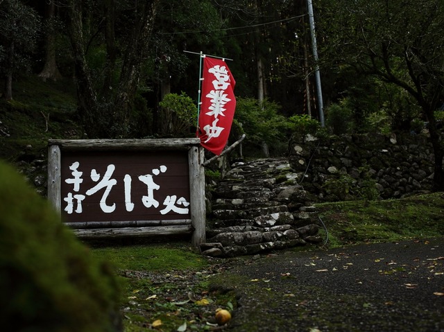 img526323b940459