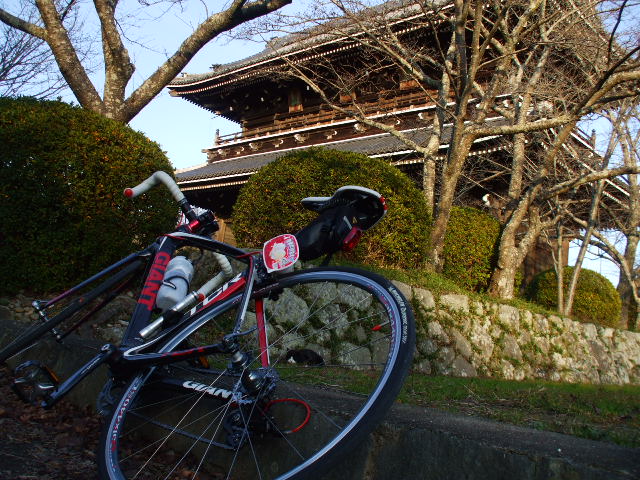 bike0844