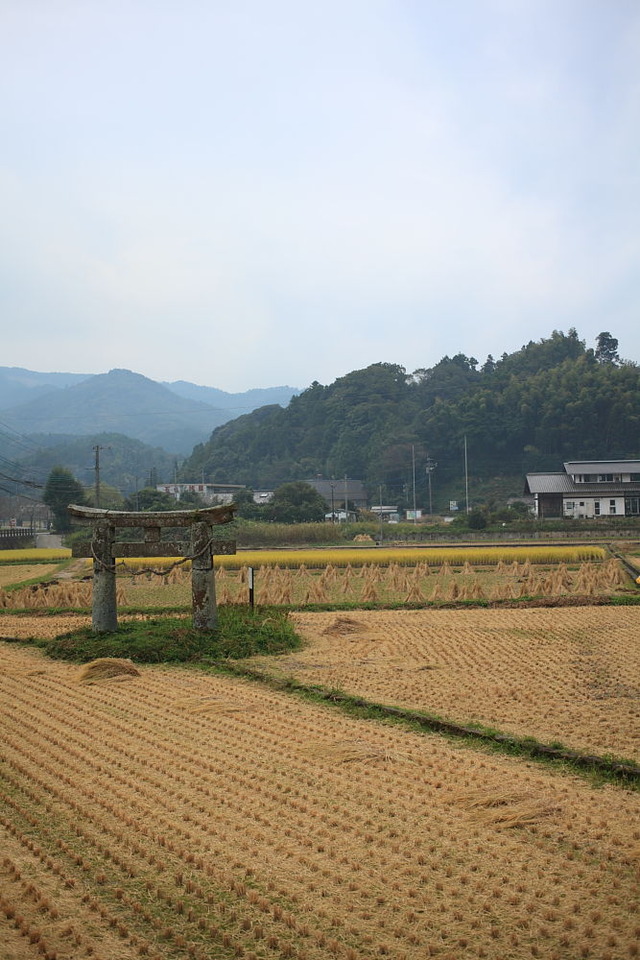 img509f046495707