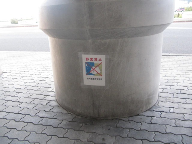 src_31623438