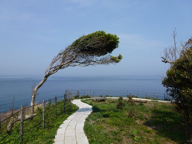 P1010779