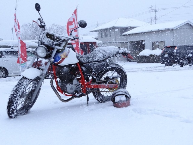 bike1219