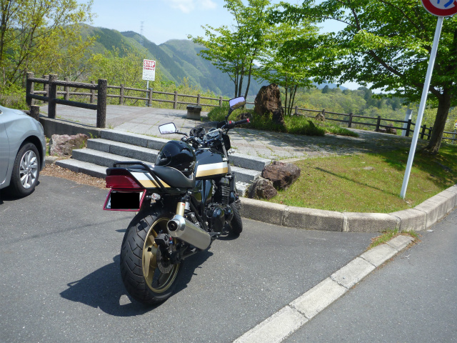 s11387600