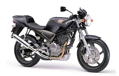 Goose 250
