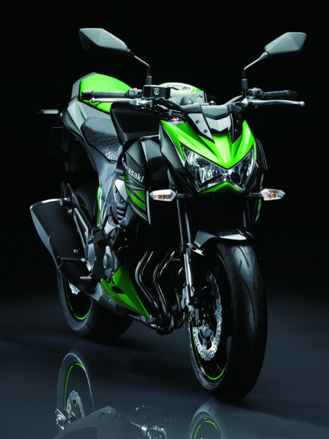s23904567-s