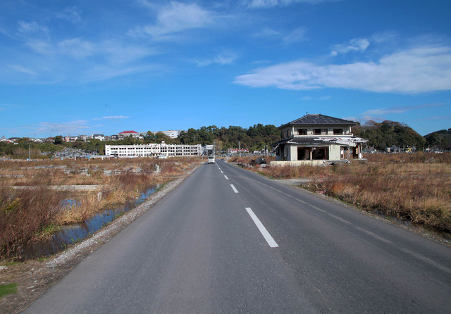 org3656492