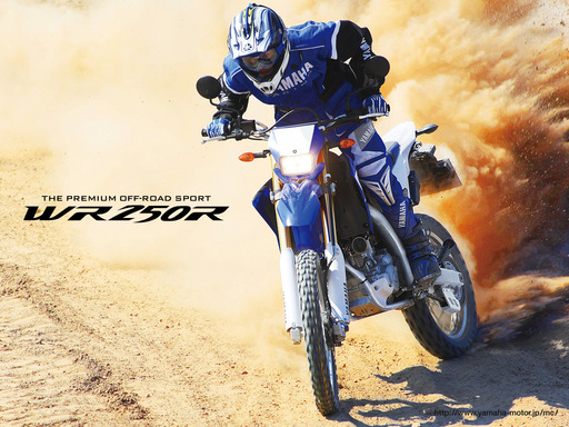 wr250r_001