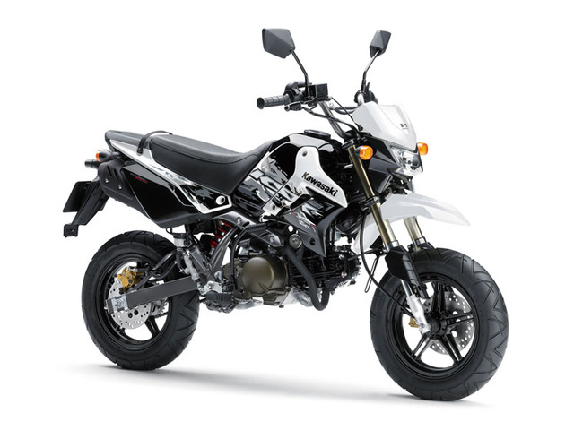 ksr110-2013-wh800