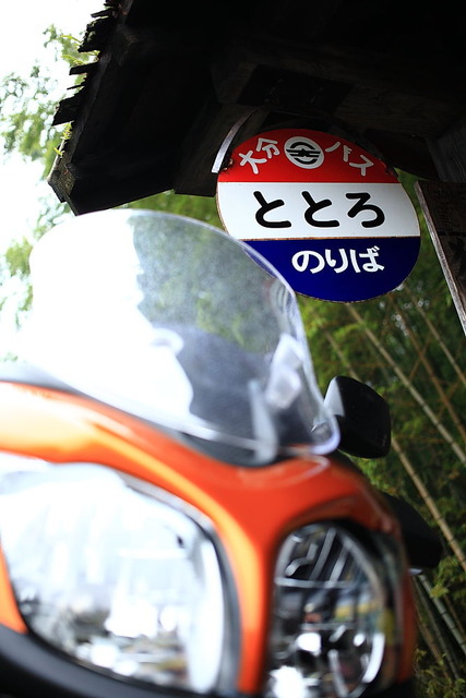 img509f3d87e594b