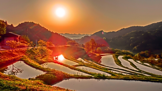 大山千枚田