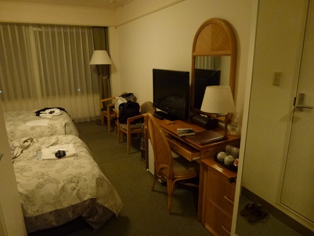 P1010621