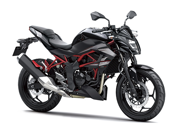 14_BR250E_BLK2_RF