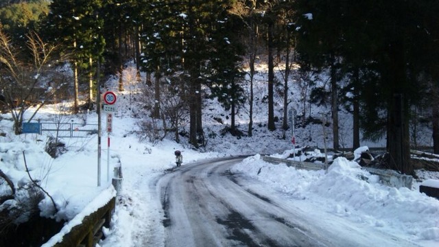 bike1288
