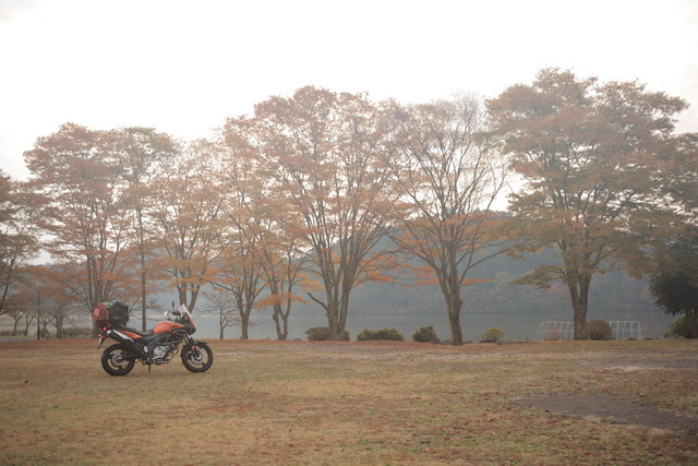 img509f3995c8323