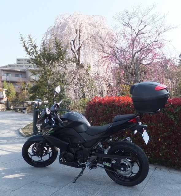 oSOV7kX