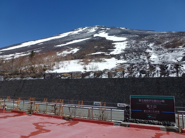 P1010553