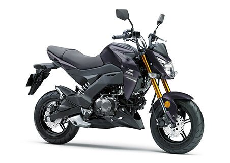 Z125 PRO_2020_メタリックマットミステリアスグレー