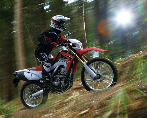 CRF250L