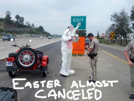 easter-bunny-pulled-over-motorcycle-hog-helmet-ridiculous__oPt