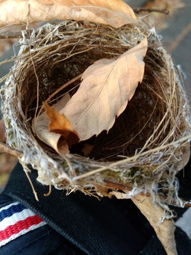 IMG_20180402_070947[1]