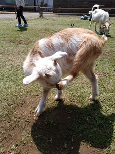 IMG_20180401_111929[1]