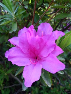 IMG_20180419_074525[1]