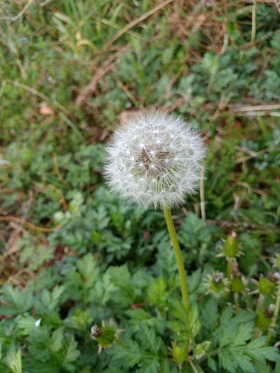 IMG_20180406_065412[1]