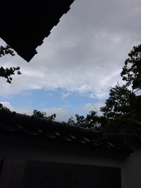 IMG_20180729_071220[1]