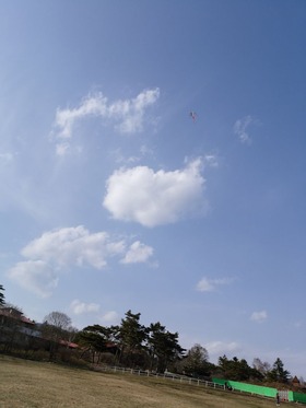 IMG_20180401_154950[1]