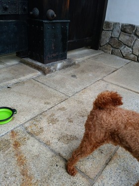 IMG_20180729_071247[1]