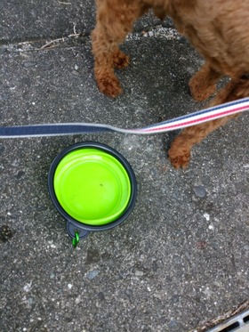 IMG_20180721_080942[1]