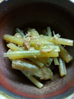 IMG_20180421_211923[1]