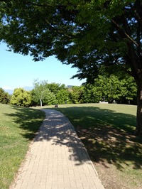 IMG_20180428_073818[1]