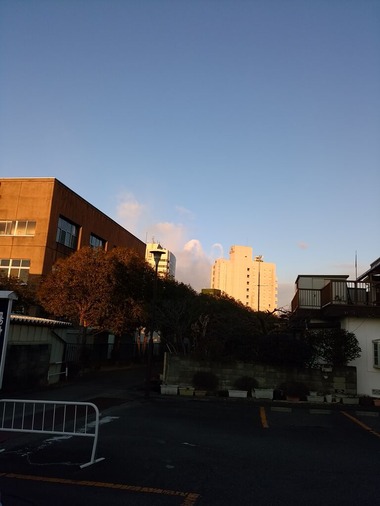 IMG_20220206_070208[1]