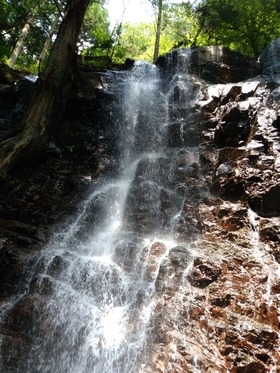 IMG_20180716_133833[1]