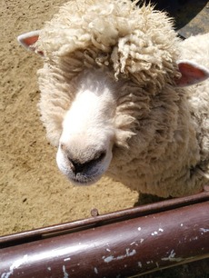 IMG_20180401_110727[1]