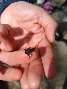 IMG_20180401_141438[1]