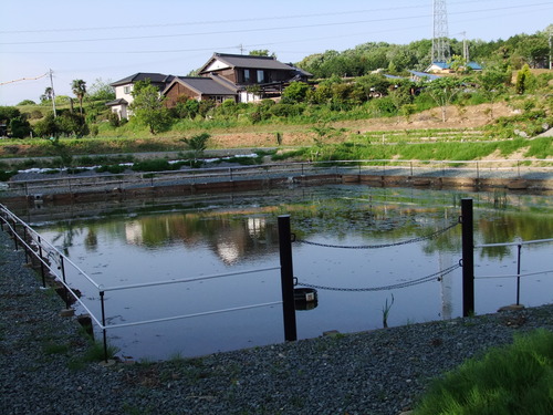 長篠のぼり祭・設楽ヶ原 124