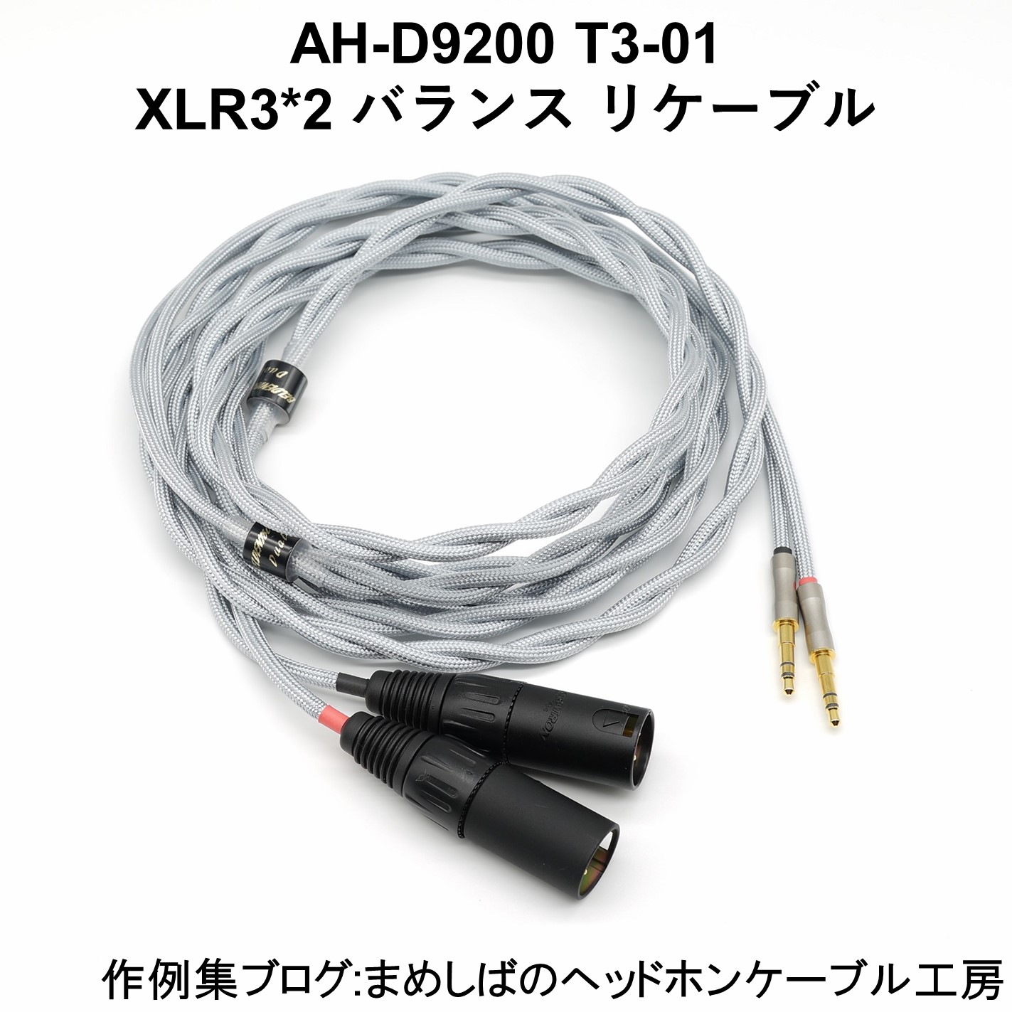 T3-01 置けれ リケーブル付き