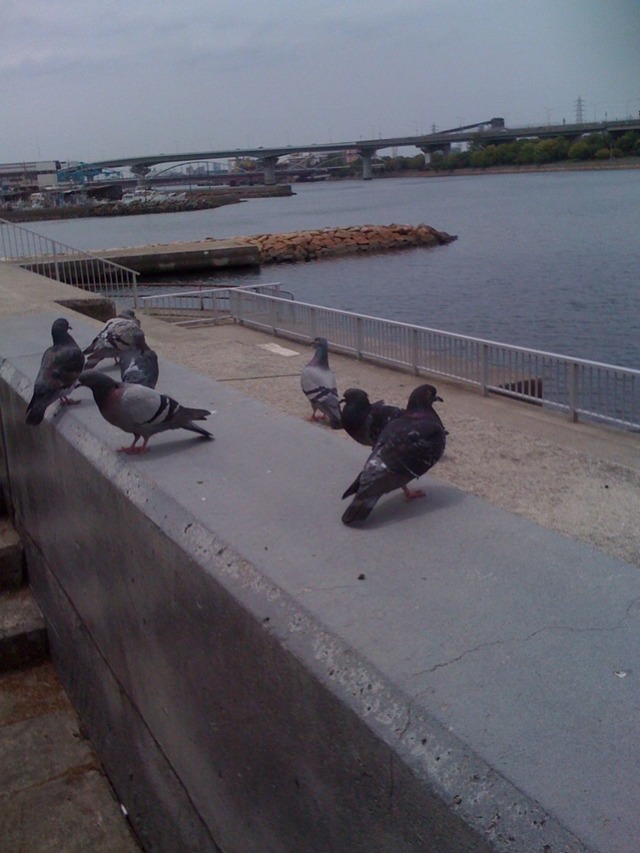 agpiZWViZWUyc2VlchULEgxJbWFnZUFuZFRleHQY9qbCAQw