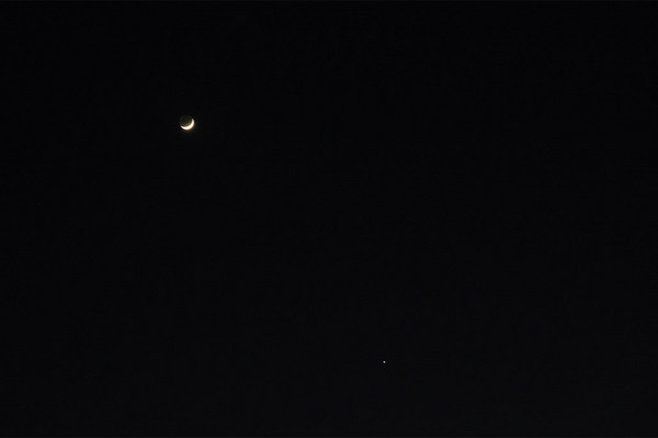 月と金星がきれい
