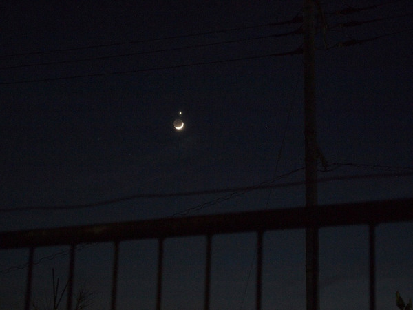 月と金星がきれい