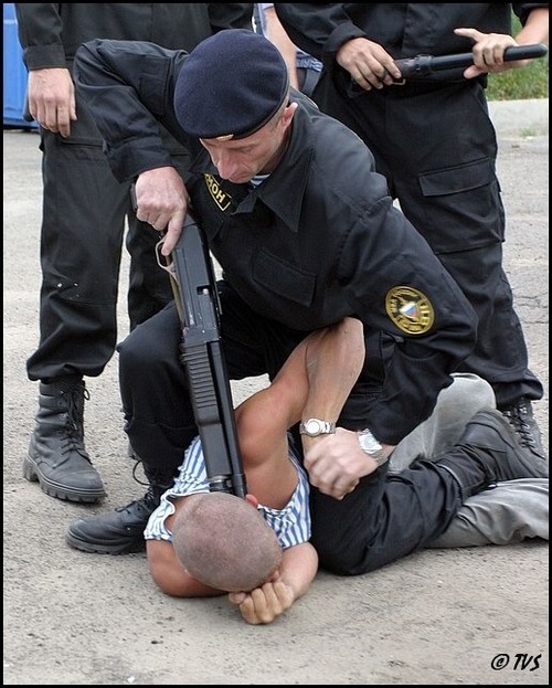 agpiZWViZWUyc2VlchULEgxJbWFnZUFuZFRleHQYyoXZAQw