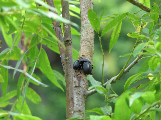 141_1-e2799-thumbnail2