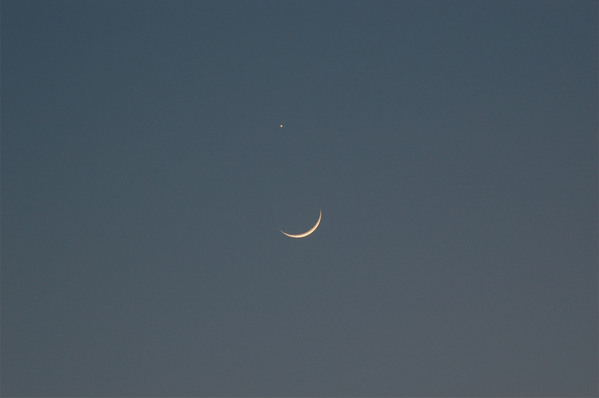 月と金星がきれい