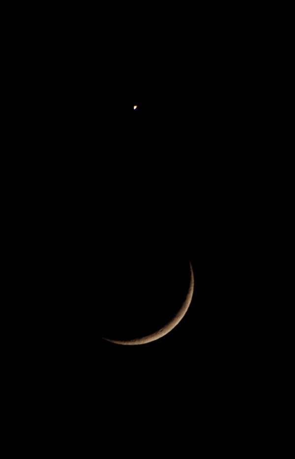 月と金星がきれい