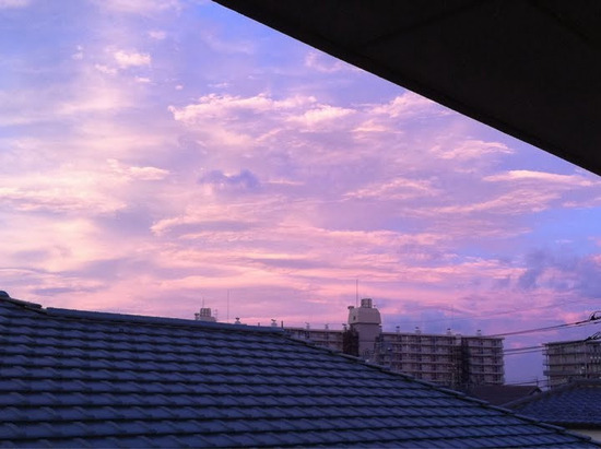 agpiZWViZWUyc2VlchULEgxJbWFnZUFuZFRleHQYydPHAQw