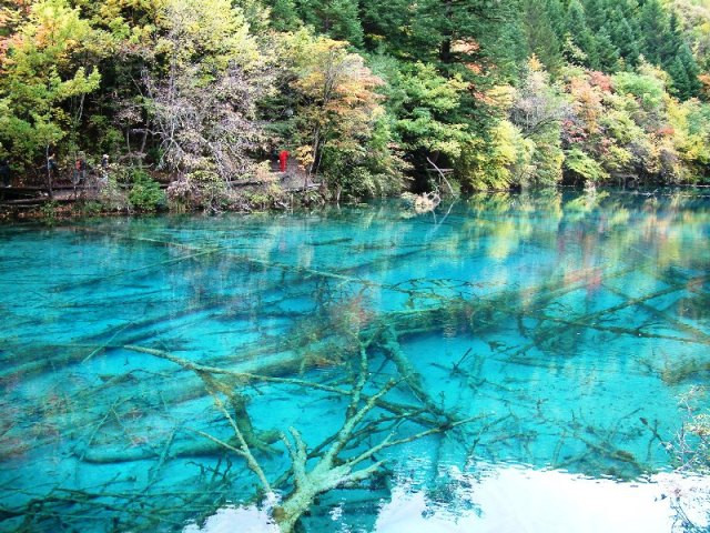 日本の世界自然遺産 〜知床の四季 命の輝き〜