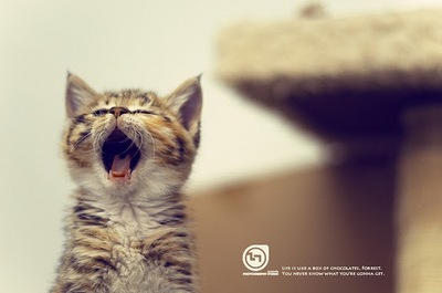 54903033201004141949571601451239825_009_640-thumb-400x265-8892