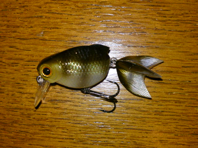 番外編 まめすけの不思議な世界